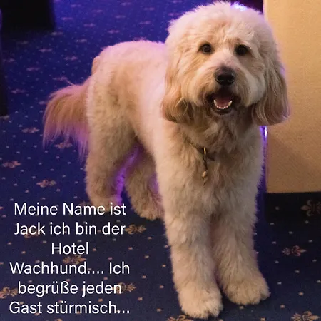 招待所 摩德纳酒店 巴特施泰本