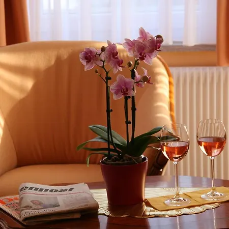 招待所 摩德纳酒店 3*